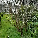 Salento Appartement *