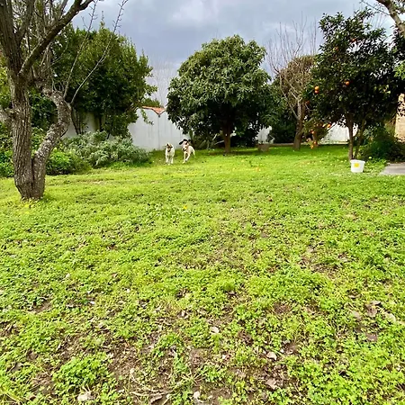 Salento Appartement