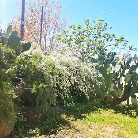 Salento Appartamento *