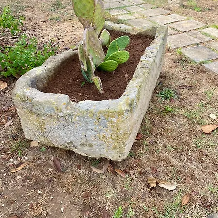Διαμέρισμα Salento *