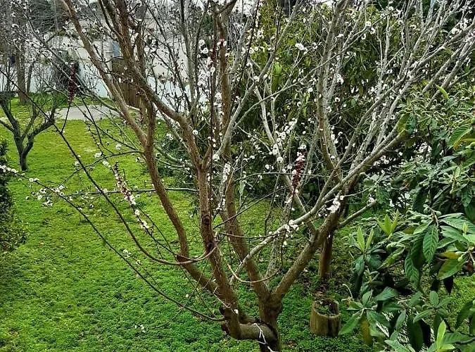 Salento Appartamento *