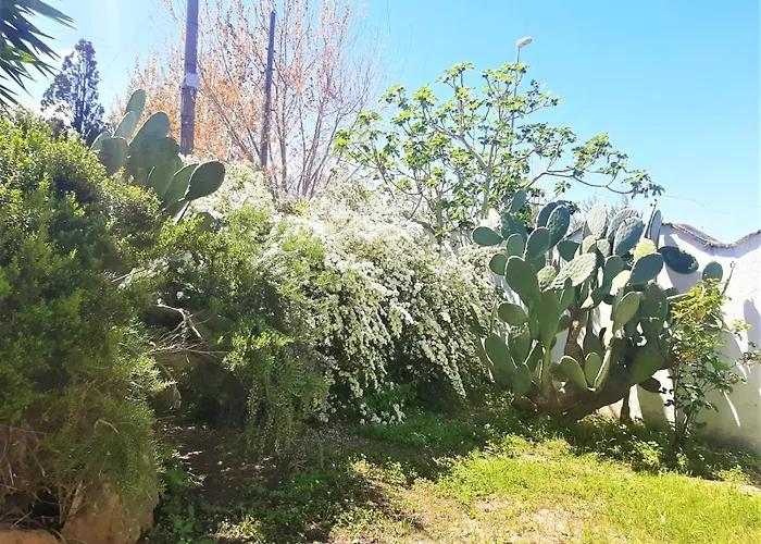 Salento アパート *