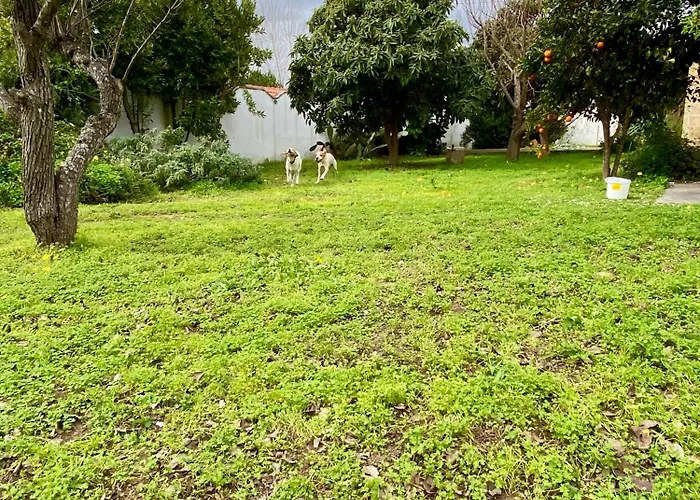 Salento Appartamento